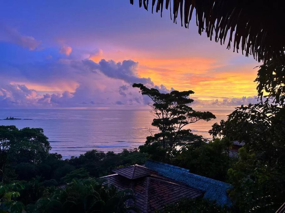 Villa Amor Del Mar With Breathtaking View Of Ocean & Jungle Домінікаль Екстер'єр фото