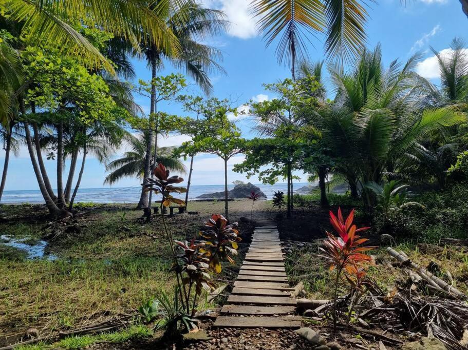 Villa Amor Del Mar With Breathtaking View Of Ocean & Jungle Домінікаль Екстер'єр фото