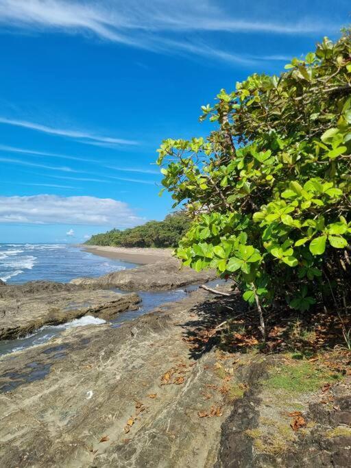 Villa Amor Del Mar With Breathtaking View Of Ocean & Jungle Домінікаль Екстер'єр фото
