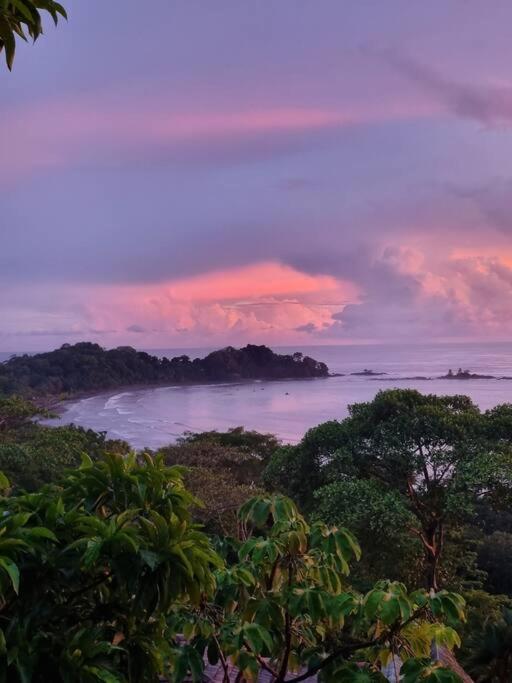 Villa Amor Del Mar With Breathtaking View Of Ocean & Jungle Домінікаль Екстер'єр фото